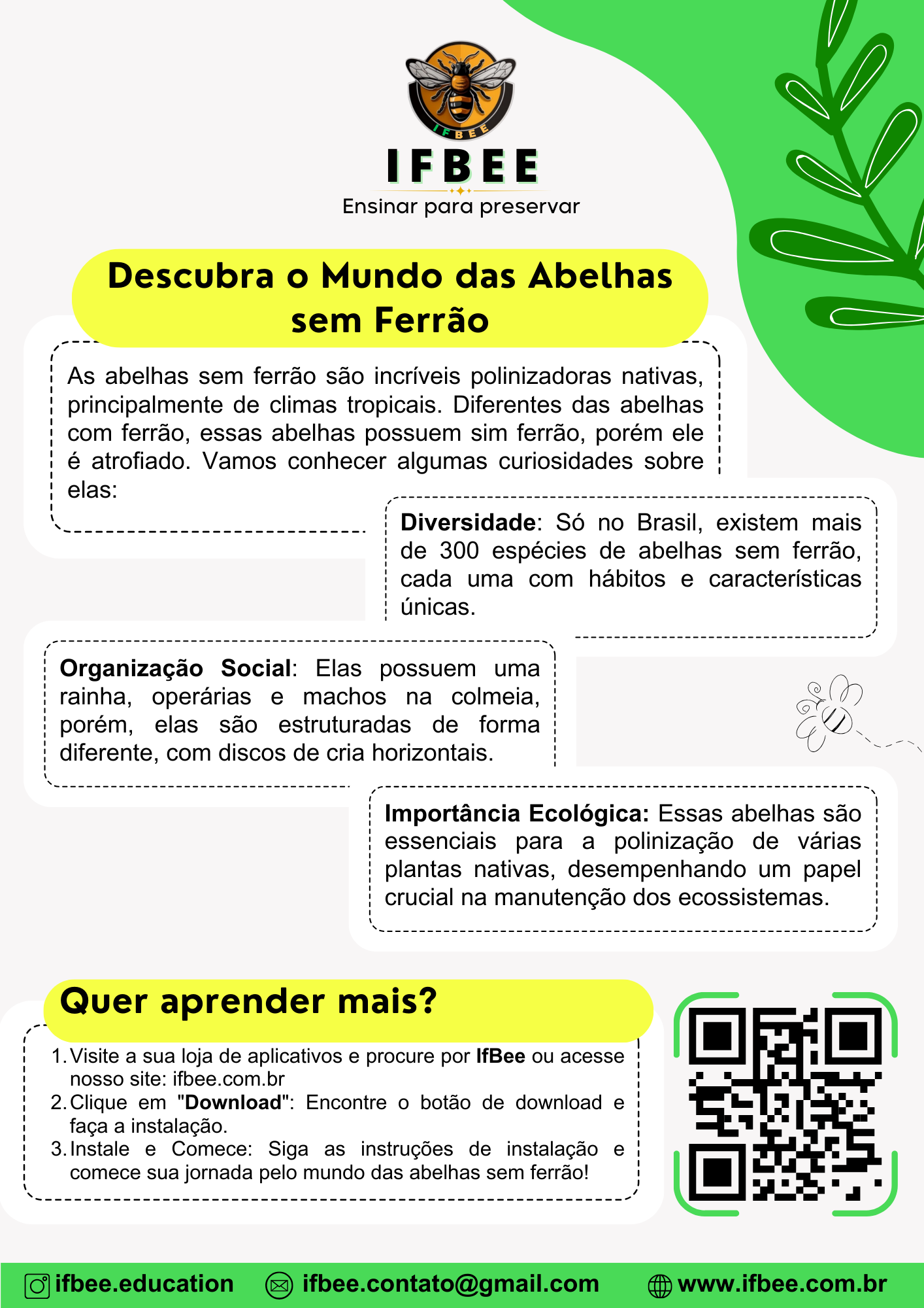 Material Informativo Verso